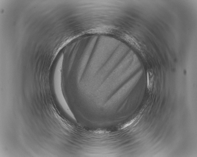 X0000057560204200510071526