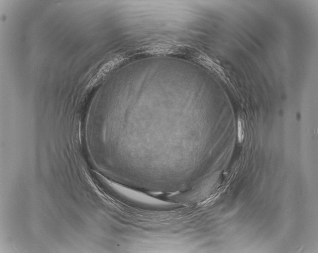 X0000057560205200510071526