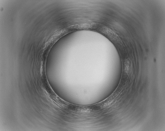 X0000057560206200510071526