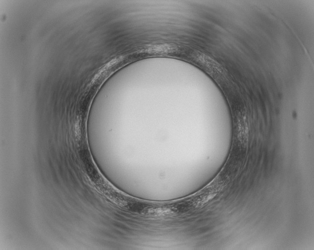 X0000057560208200510071526