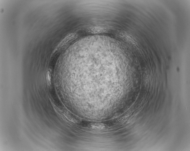 X0000057560214200510071526