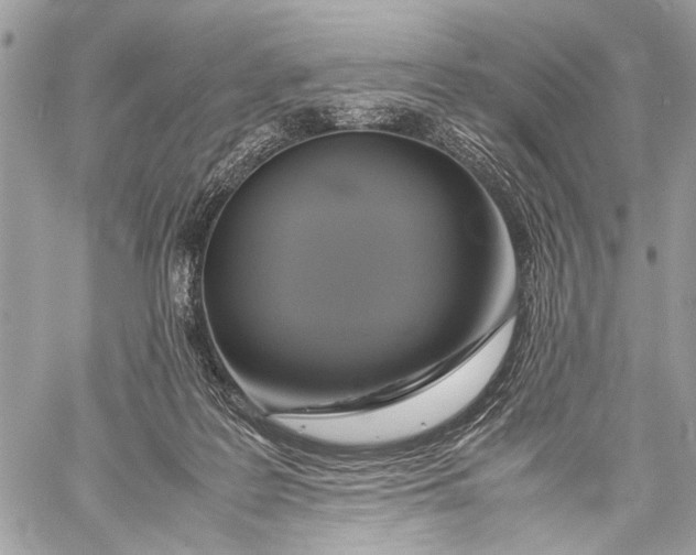 X0000057560219200510071526