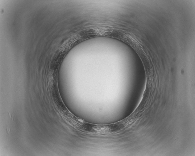 X0000057560221200510071526