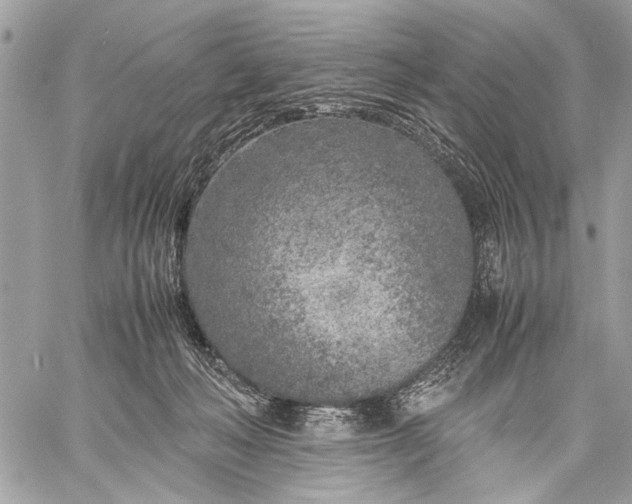 X0000057560222200510071526