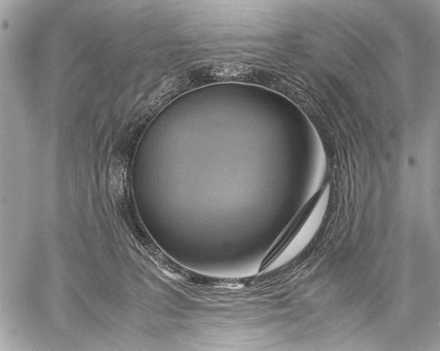 X0000057560227200510071526