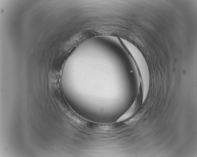 X0000057560237200510071526