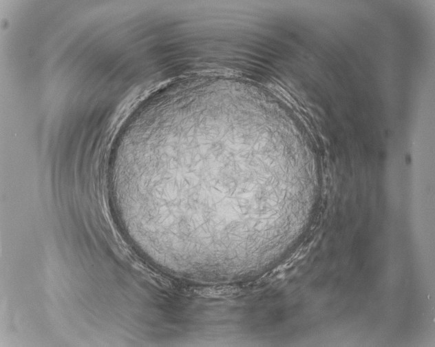 X0000057560241200510071525
