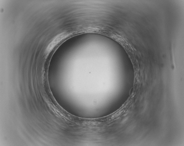 X0000057560242200510071525