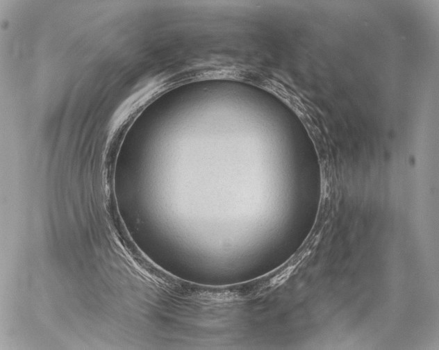 X0000057560245200510071525