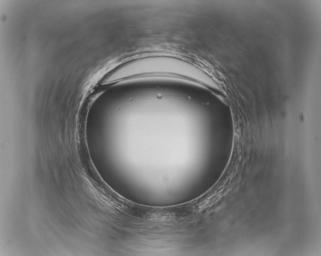X0000057560248200510071525