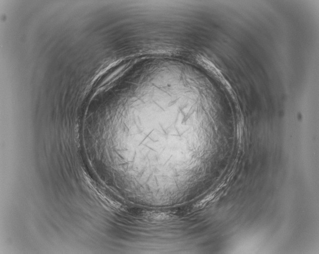 X0000057560249200510071525