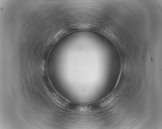 X0000057560264200510071525