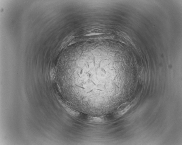 X0000057560285200510071525