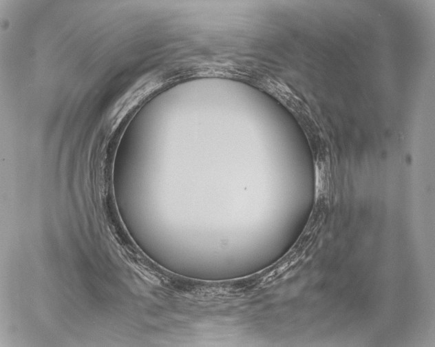 X0000057560291200510071525