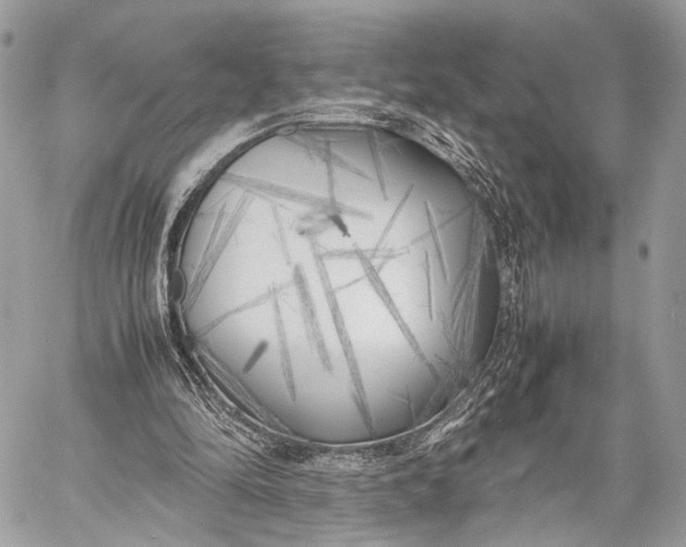 X0000057560294200510071525