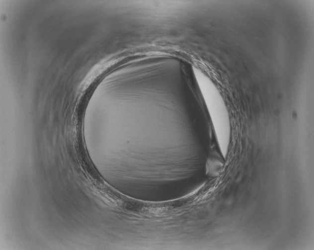 X0000057560295200510071525