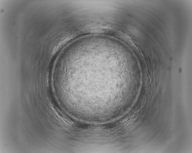 X0000057560299200510071525