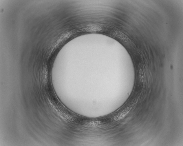 X0000057560304200510071524