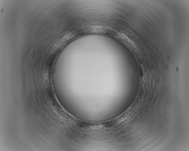 X0000057560306200510071524