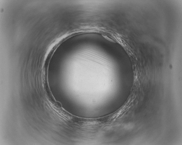 X0000057560342200510071523