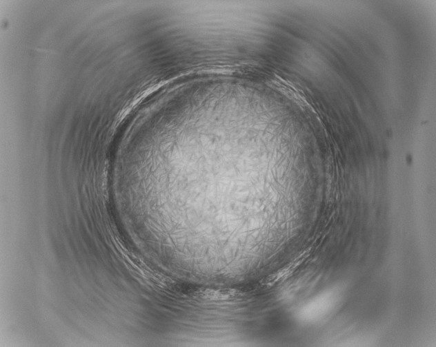 X0000057560346200510071523