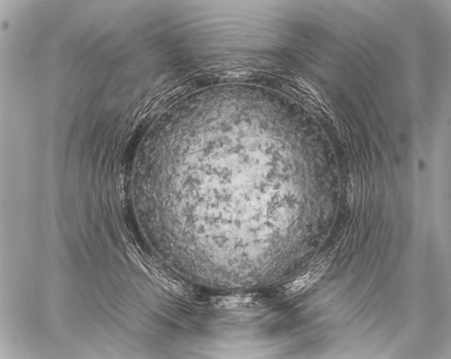 X0000057560366200510071524