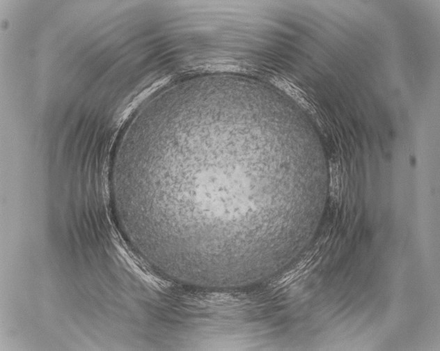X0000057560390200510071523