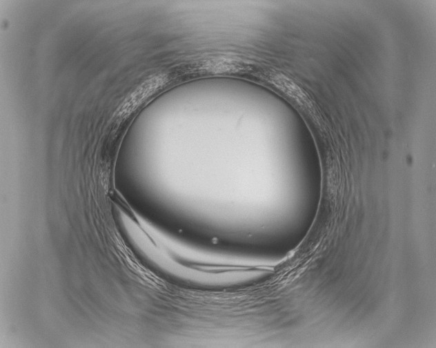 X0000057560393200510071523