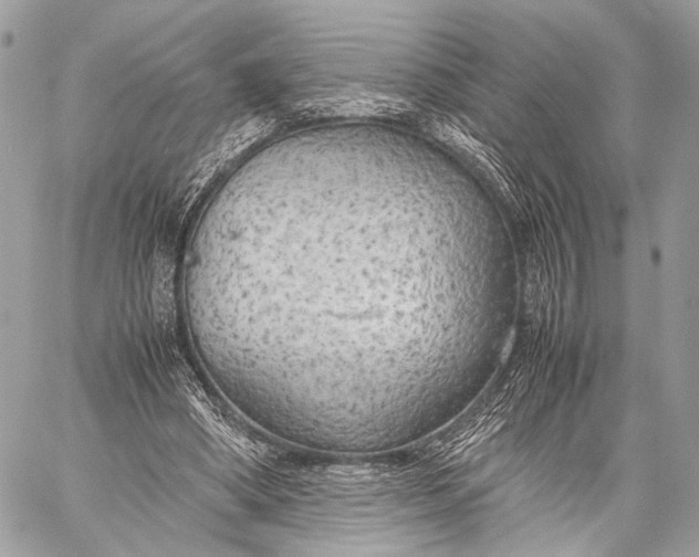 X0000057560394200510071523