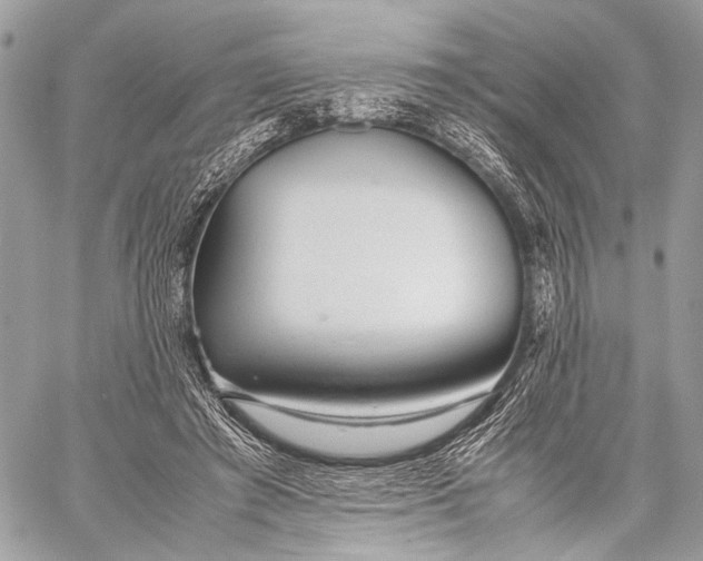 X0000057560401200510071523