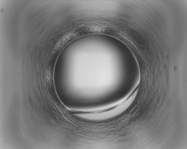 X0000057560407200510071523