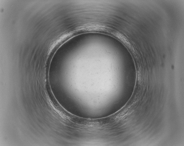X0000057560438200510071522