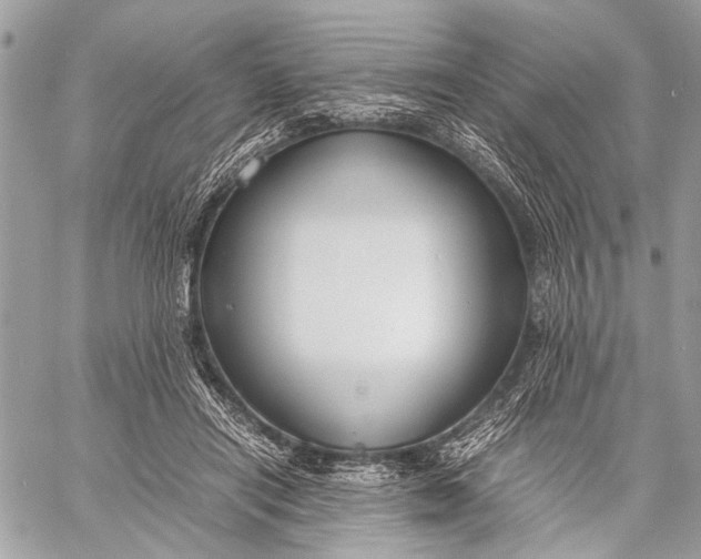 X0000057560454200510071522