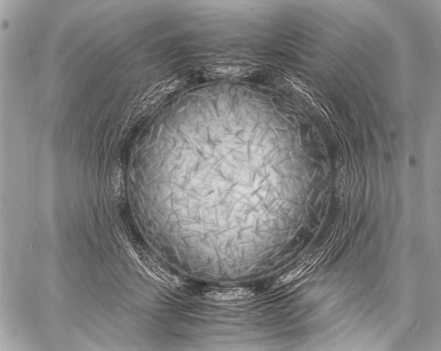 X0000057560459200510071522