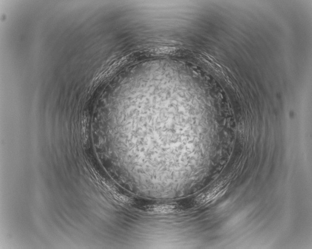 X0000057560462200510071522