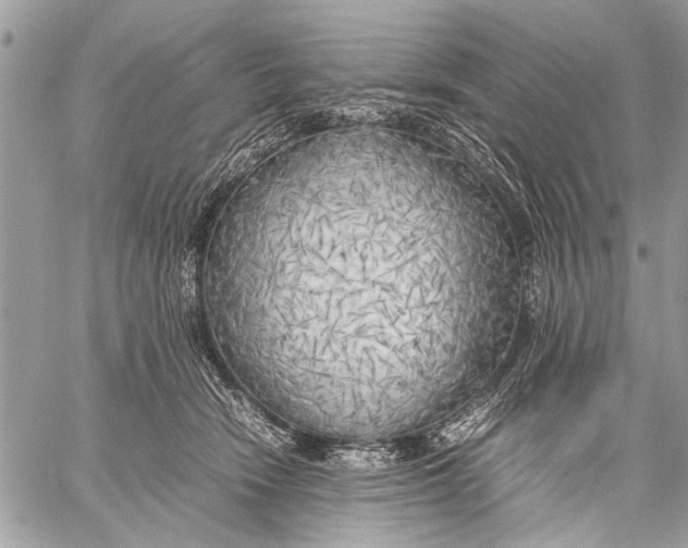 X0000057560466200510071522