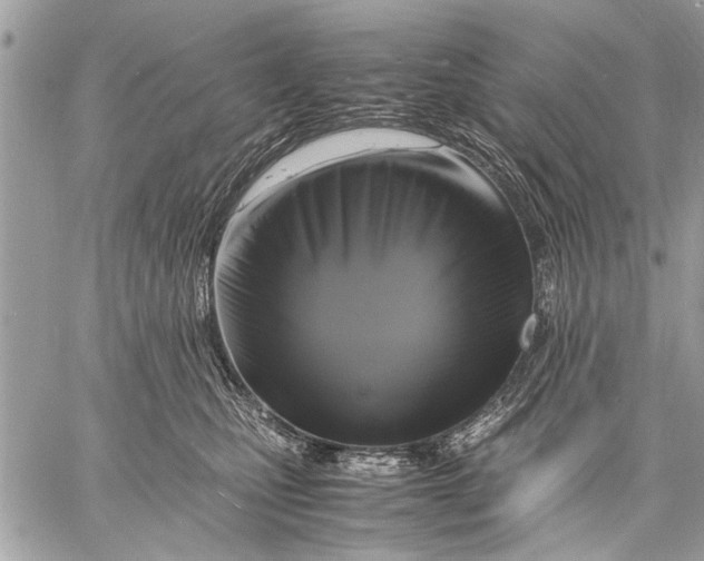 X0000057560471200510071522