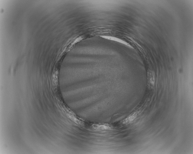 X0000057560475200510071522