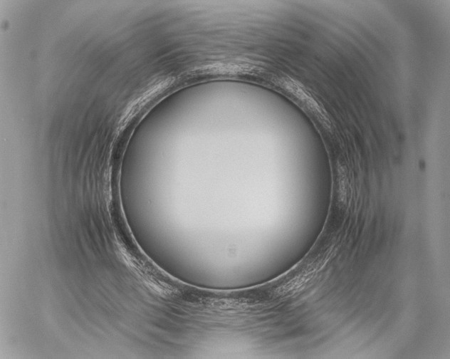 X0000057560486200510071521