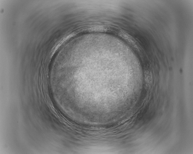 X0000057560487200510071521