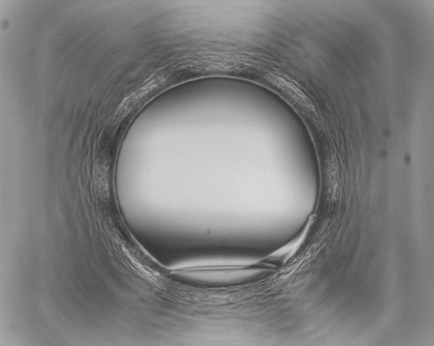 X0000057560489200510071521