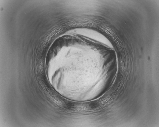 X0000057560499200510071521