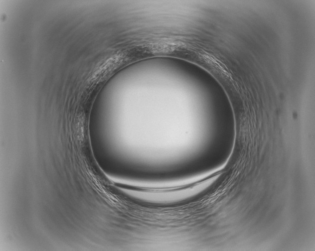 X0000057560501200510071521