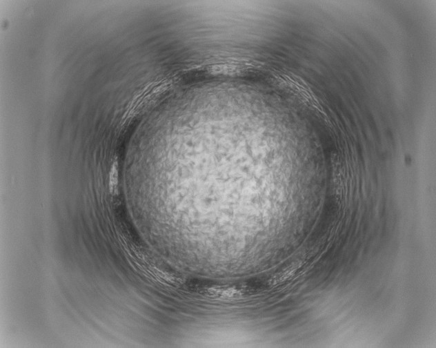 X0000057560502200510071521