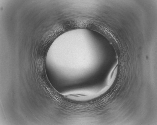 X0000057560505200510071521