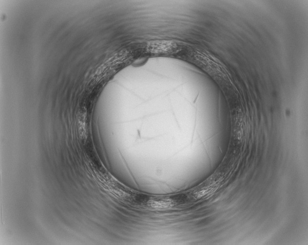 X0000057560510200510071521