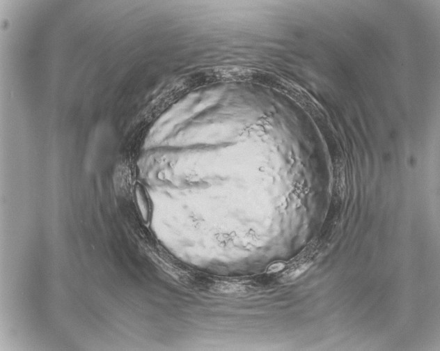 X0000057560523200510071521