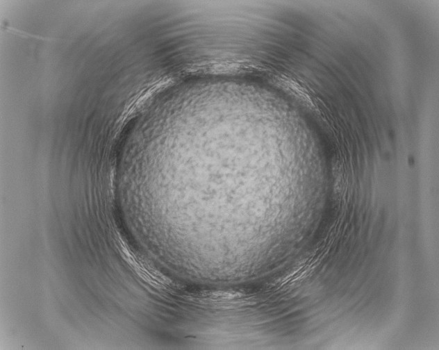 X0000057560542200510071520