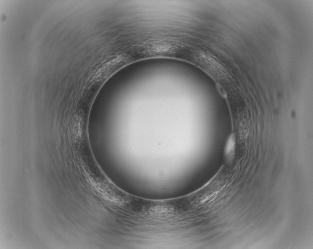 X0000057560546200510071520