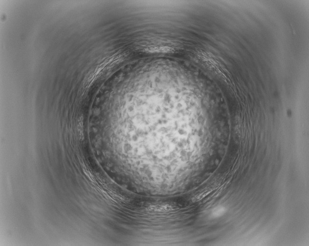 X0000057560547200510071520